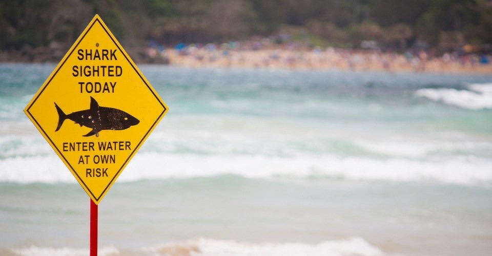 drones haaien spotten stranden australie