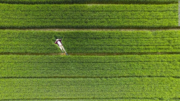 dronestagram-grass-xiwei-reservoir-china